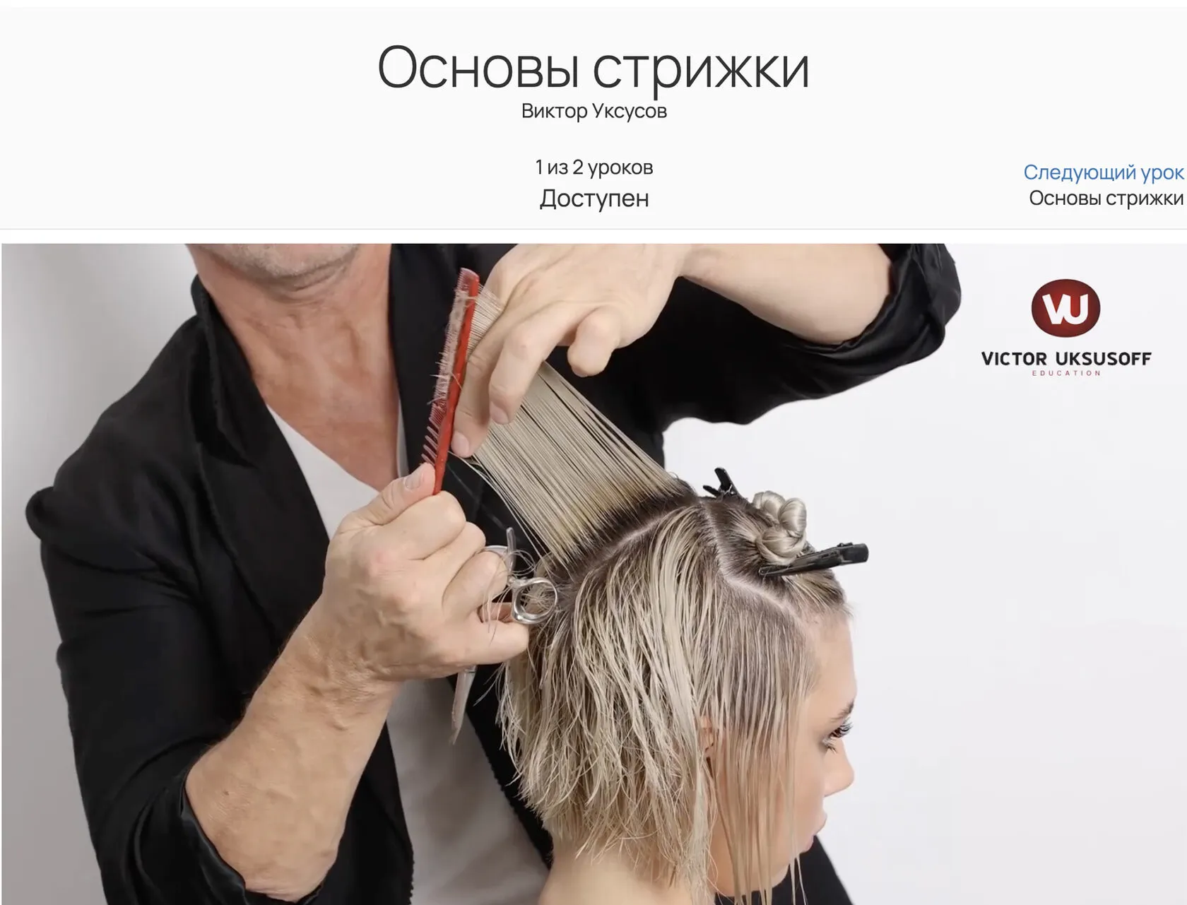 БОНУС 2. Элементы в стрижках (В.Уксусов)
