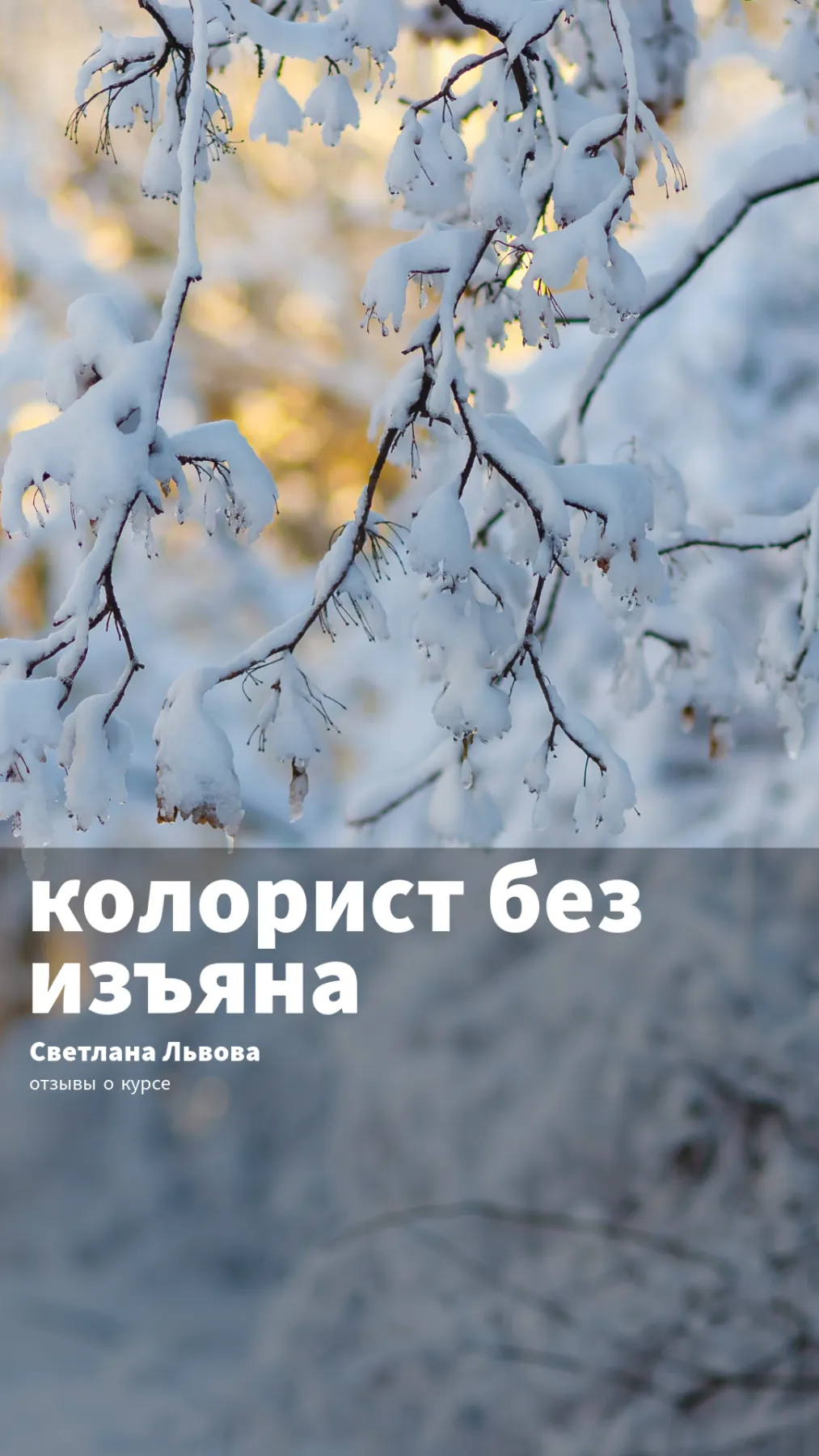 Кейс выпускника Система Аксиом
