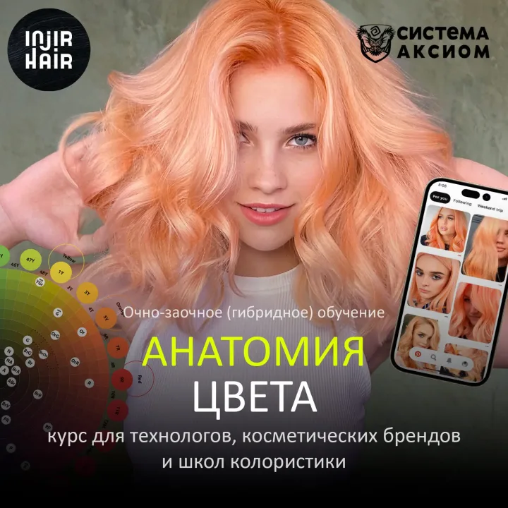 Анатомия цвета