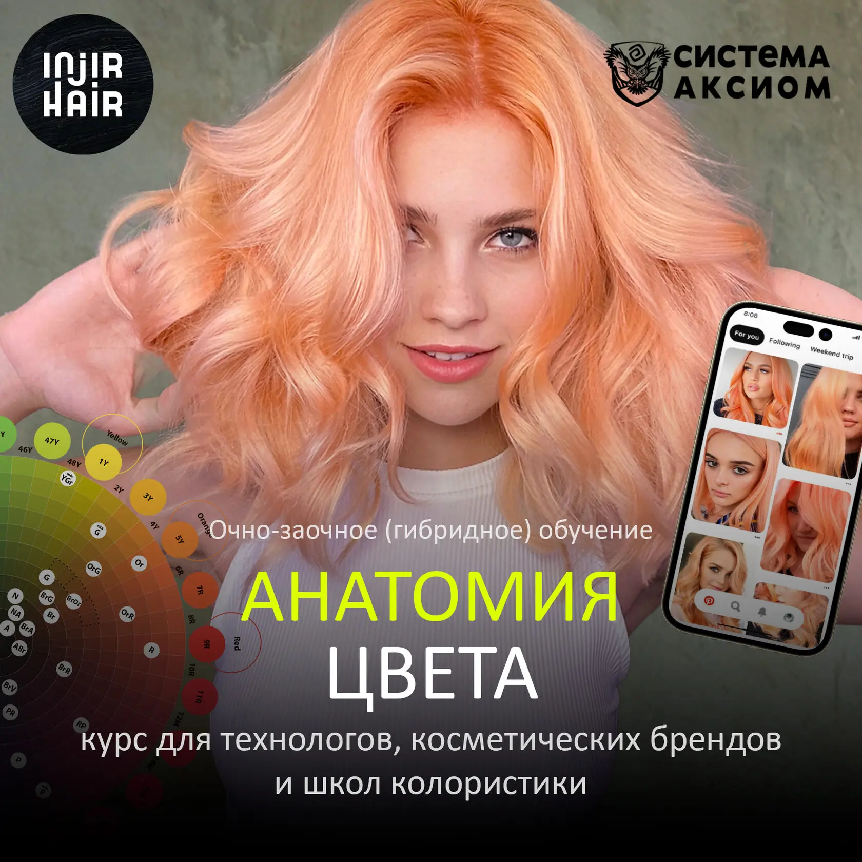Анатомия цвета